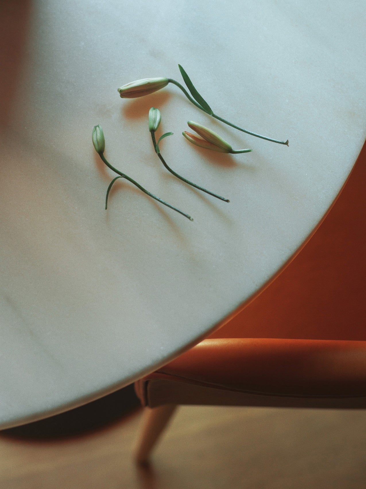 5709262042074 Стол колонны гавани, Круглый стол LuceLight  - Вид №10