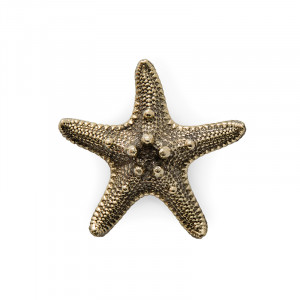 OC2011 Linckia PULLCAST Ocean Collection