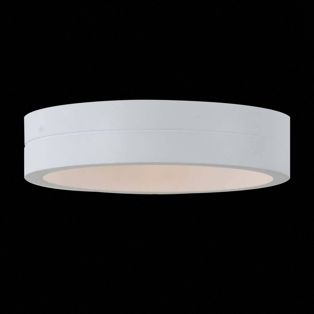 Уличный настенный светодиодный светильник ST Luce SL562.501.01 ST LUCE SL562 271983 Белый  - Вид №1