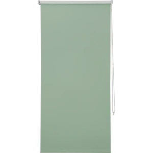 Штора рулонная Inspire блэкаут 40x160 см, цвет зелёный 82450251 STLM-2030750