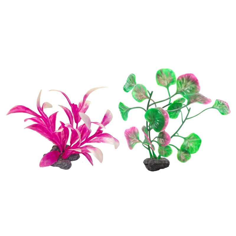 ПР0052013 Растение DecoArt Plant Мини розовое XS Pink 6см (6шт) TETRA 