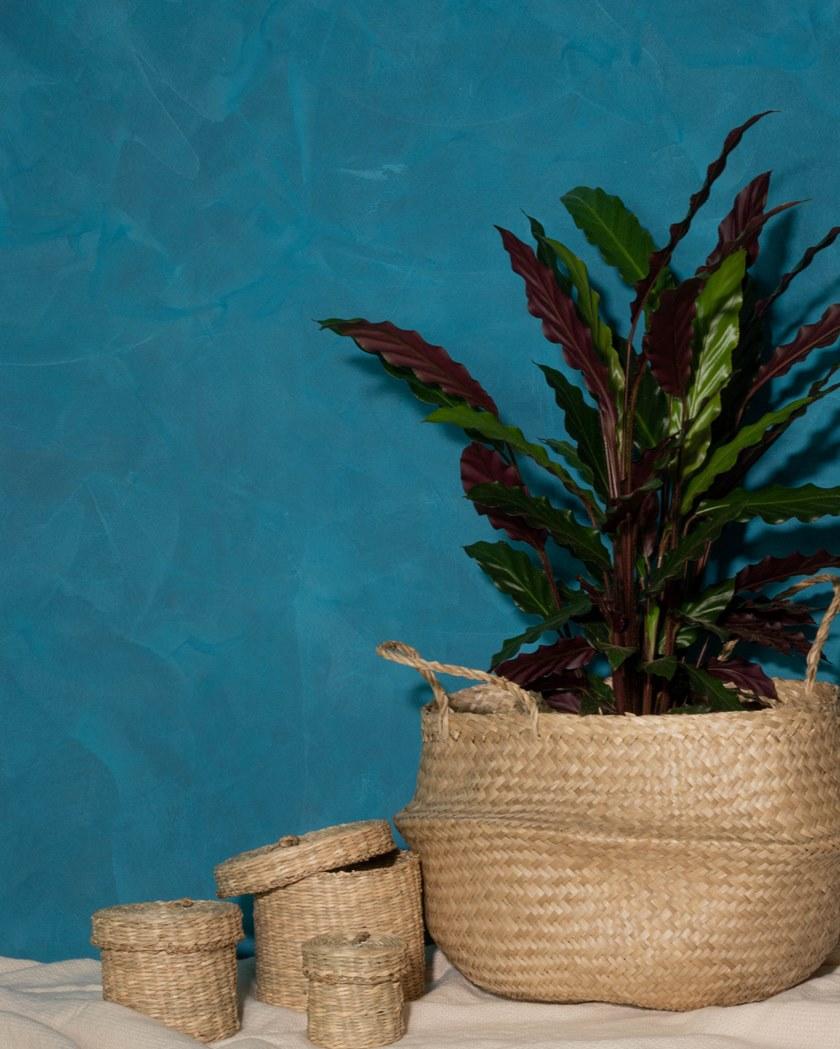 Novacolor Внутреннее декоративное покрытие Matt N371 - Вид №1