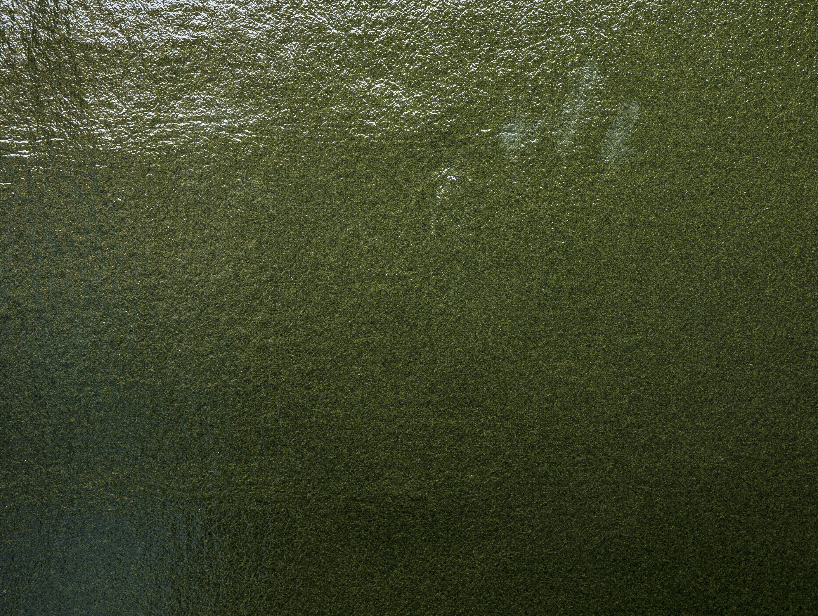 Однотонная ткань из шерсти, льна и полиамида The House of Lyria MANGIGA ARCH-00035591 - Вид №1