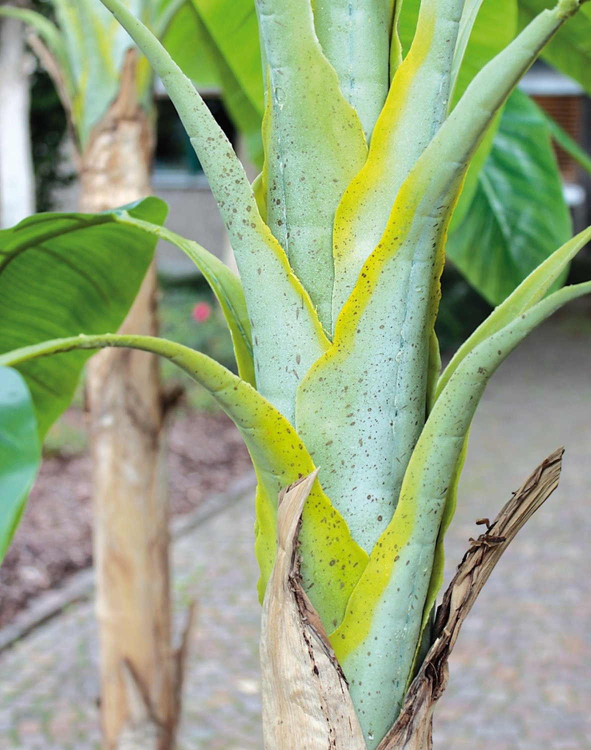 5782 883 a3 Банановое дерево из шелка, в горшке, 270 см, зеленое H-andreas  - Вид №5