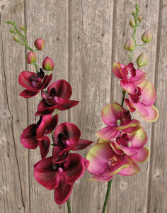2398 490 a2 Искусственная орхидея Phalaenopsis, 92 см, real touch, красно-черная H-andreas