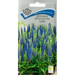 Вероника колосистая Голубая от ПОИСК - семена для солнечного сада 83577560