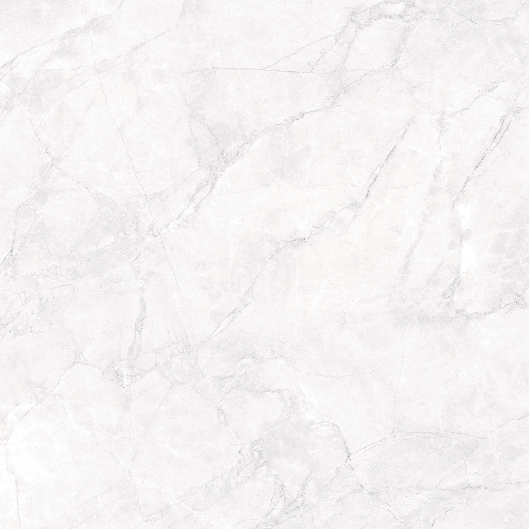 ARCTIC WHITE ARCADIA CERAMICA CR6008-A - Вид №7
