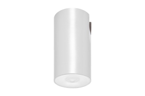 DST-65 Lens watertight ceiling-mounted Daisalux Светильники аварийные Белый 