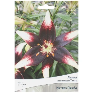 Лилия азиатская Танго «Неттис Прайд» 81945461 STLM-2207662