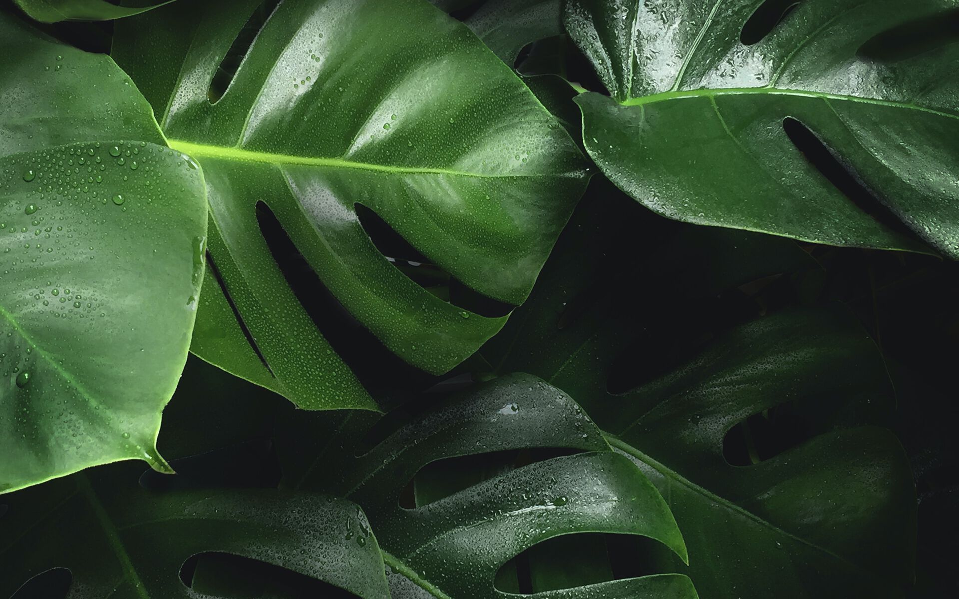 Набор для спа-ароматерапии Aquademy AROMATERAPIA IN ACQUA ARCH-00083585 - Вид №3