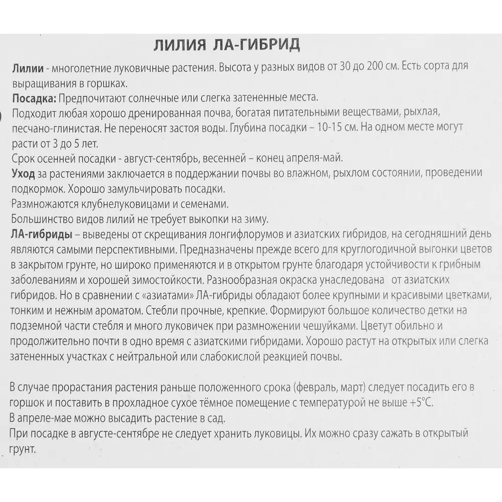 Лилия ЛА-гибрид Ройал сансет луковица 14/16 88294777 STLM-2065985 Santreyd  - Вид №2