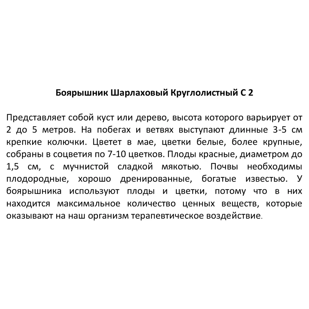 Боярышник шарлаховый ø17 h30 см 85325501 STLM-2076799 Santreyd  - Вид №3