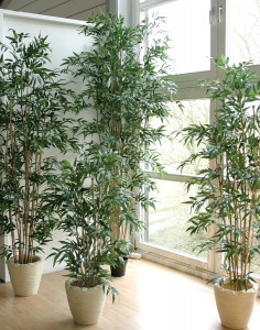 5744 883 a3 Бамбук искусственный, в горшке, 2600 листьев, 240 см, зеленый H-andreas