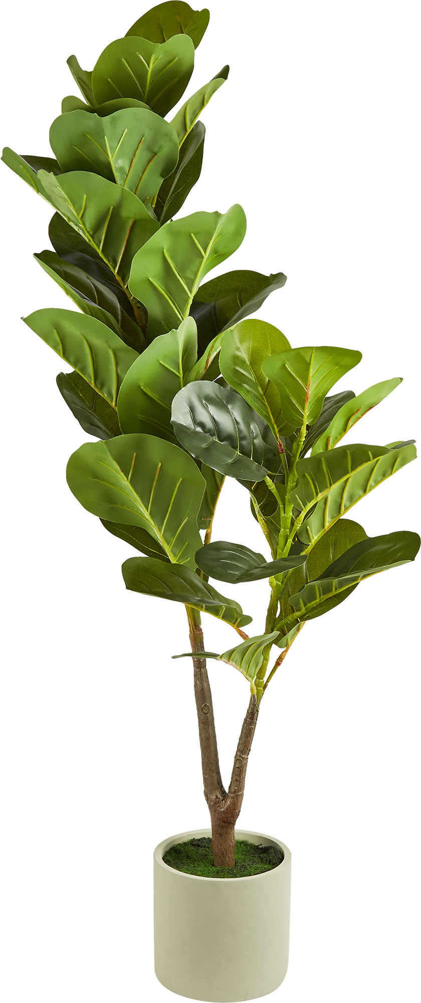 87681875 Искусственное растение Фикус 95x14 см пластик STLM-0074885 Santreyd  - Вид №1