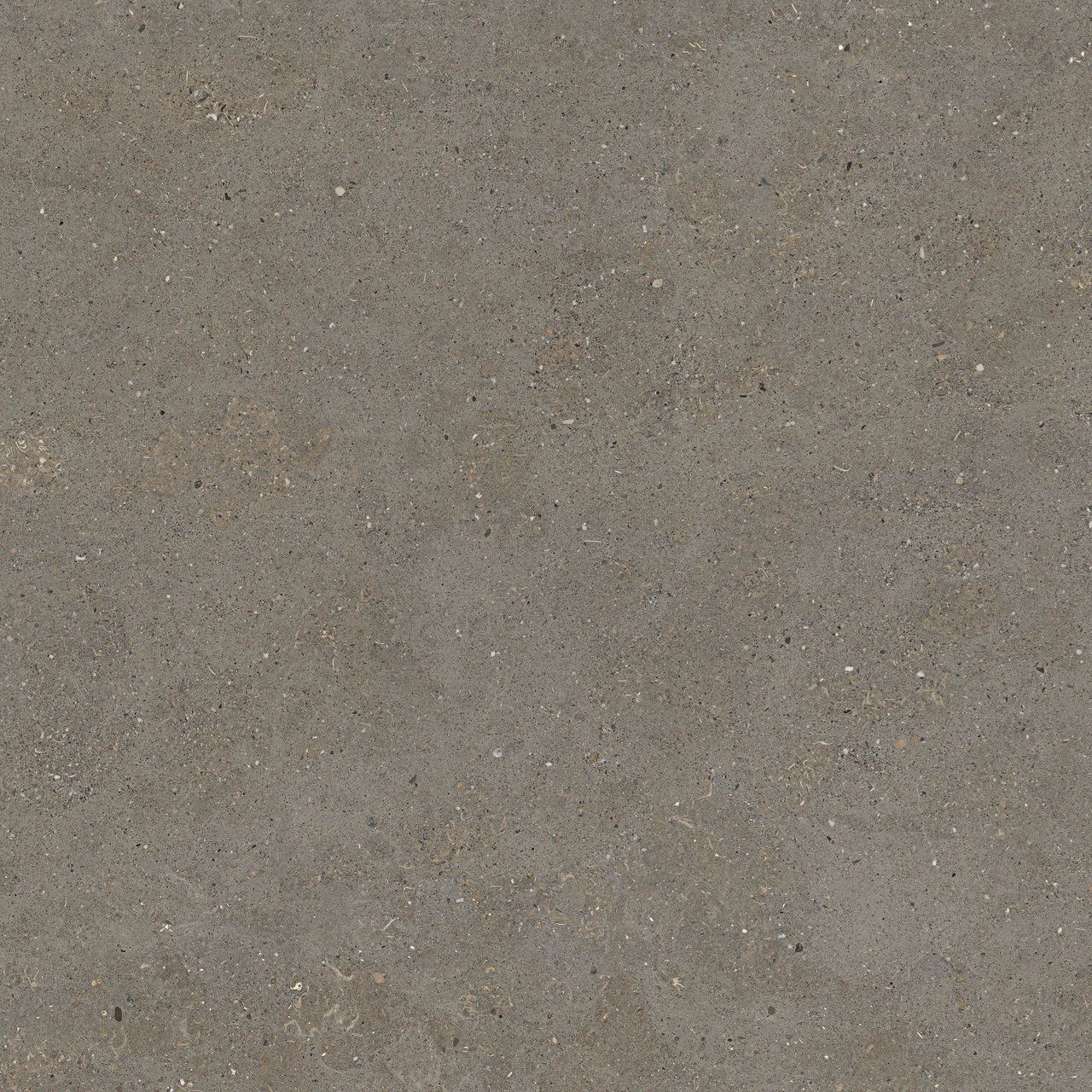 Пол / облицовка керамогранита с эффектом камня Fiandre сплошная ARCH-00087079 - Вид №17