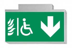 DST-808 Lisu ceiling-mounted Daisalux Светильники аварийные Серебристо-Серый