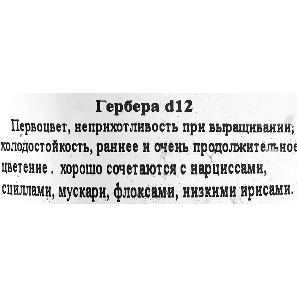 Гербера ø12 h25 см 83248440 STLM-2047381 Santreyd  - Вид №1