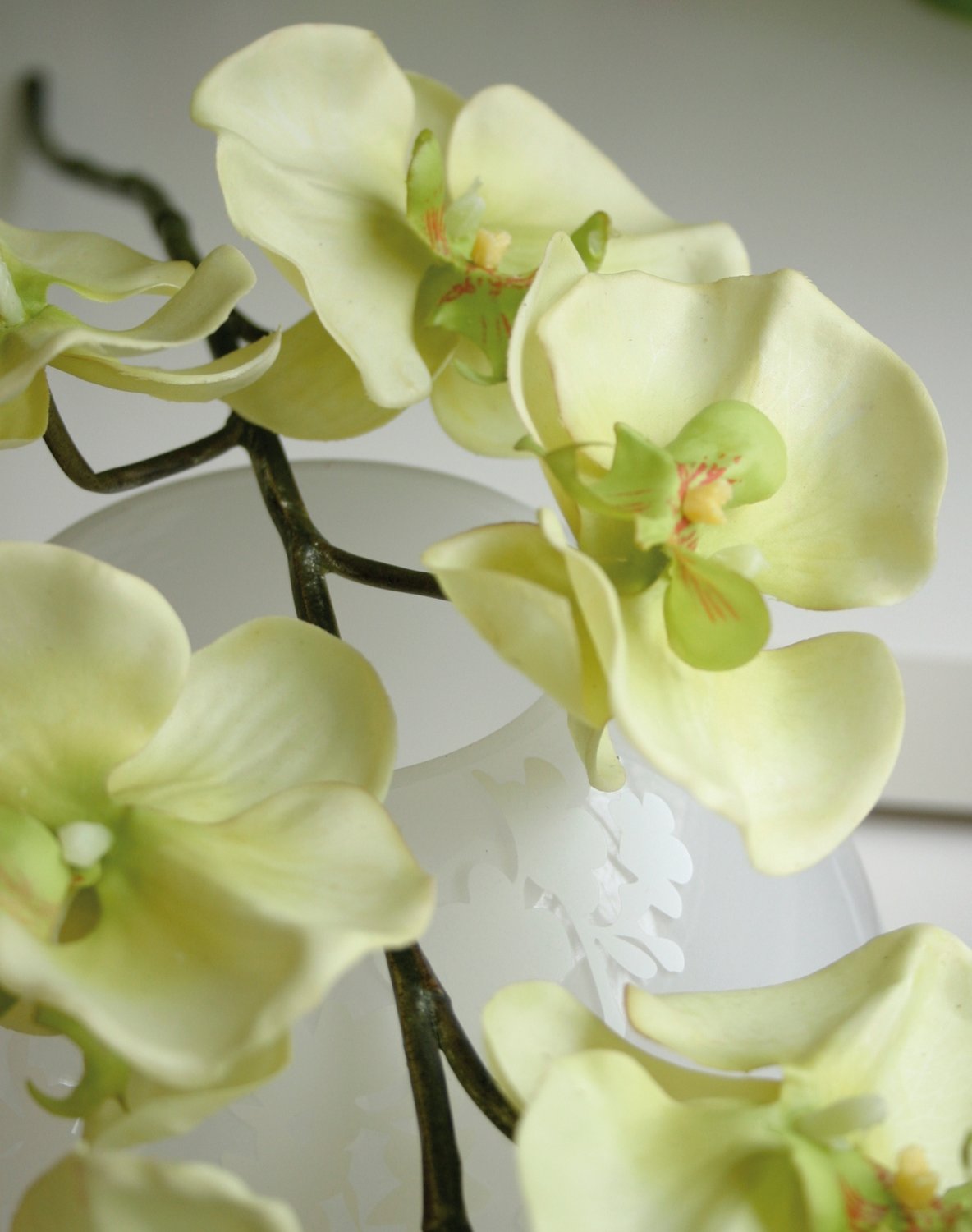 2508 788 a3 Искусственная орхидея Phalaenopsis, 110 см, real touch, бежево-зеленая H-andreas  - Вид №3