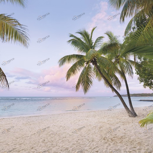 SH086-VD4-Paradise-Morning Фотообои Komar Stefan Hefele 2.5х4 м SH086VD4PARADISEMORNING