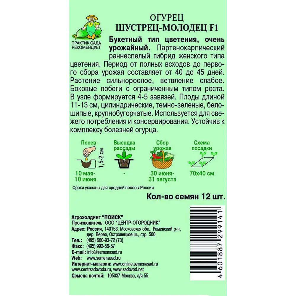 Семена огурцов ПОИСК «Шустрец-молодец» F1 - ранний партенокарпический гибрид 83123839 STLM-1488883 - Вид №1