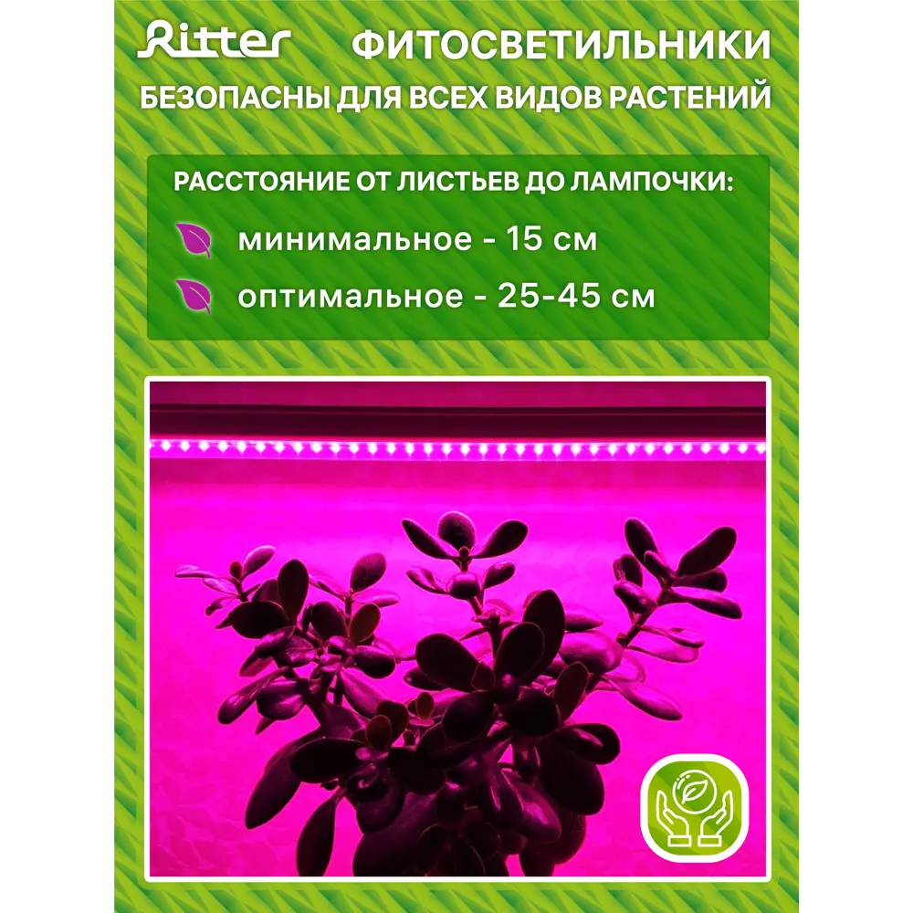 Фитосветильник линейный светодиодный Ritter 10 Вт 572 мм на кронштейне с присосками 56300 6  красно-синий спектр розовый свет STLM-2043781 - Вид №13
