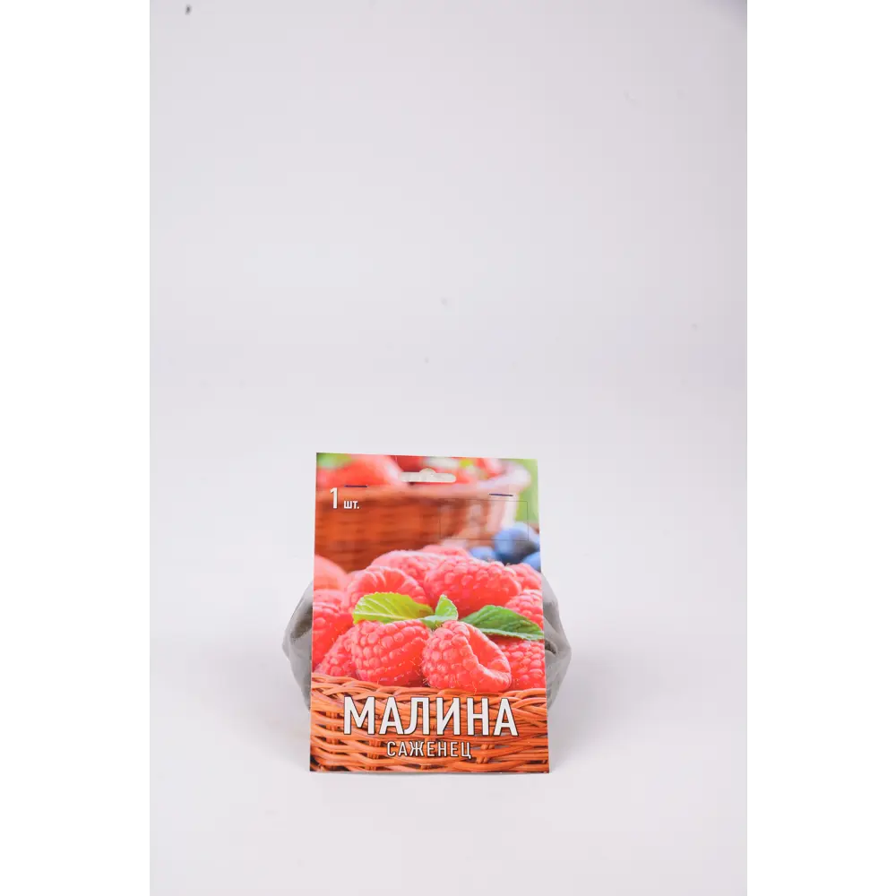 Малина рубиновое Ожерелье h17 см 83791473 STLM-2208337 Santreyd 