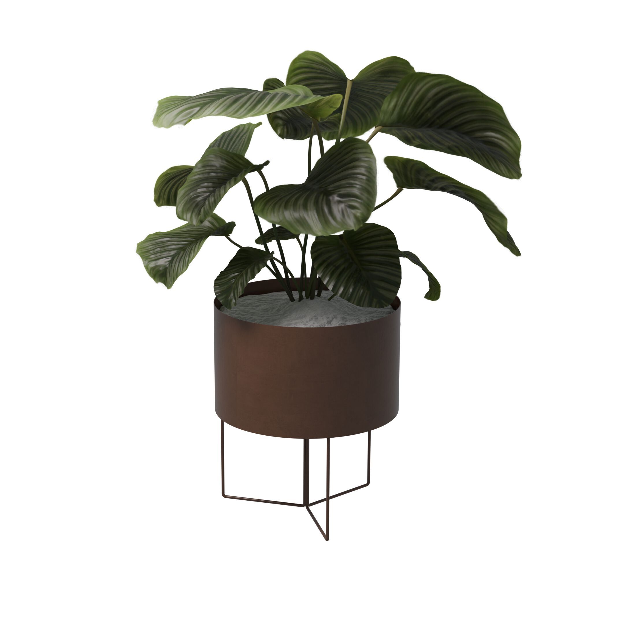 Плантатор из железа и листового металла Pipedesign Clori ARCH-00061043 - Вид №1