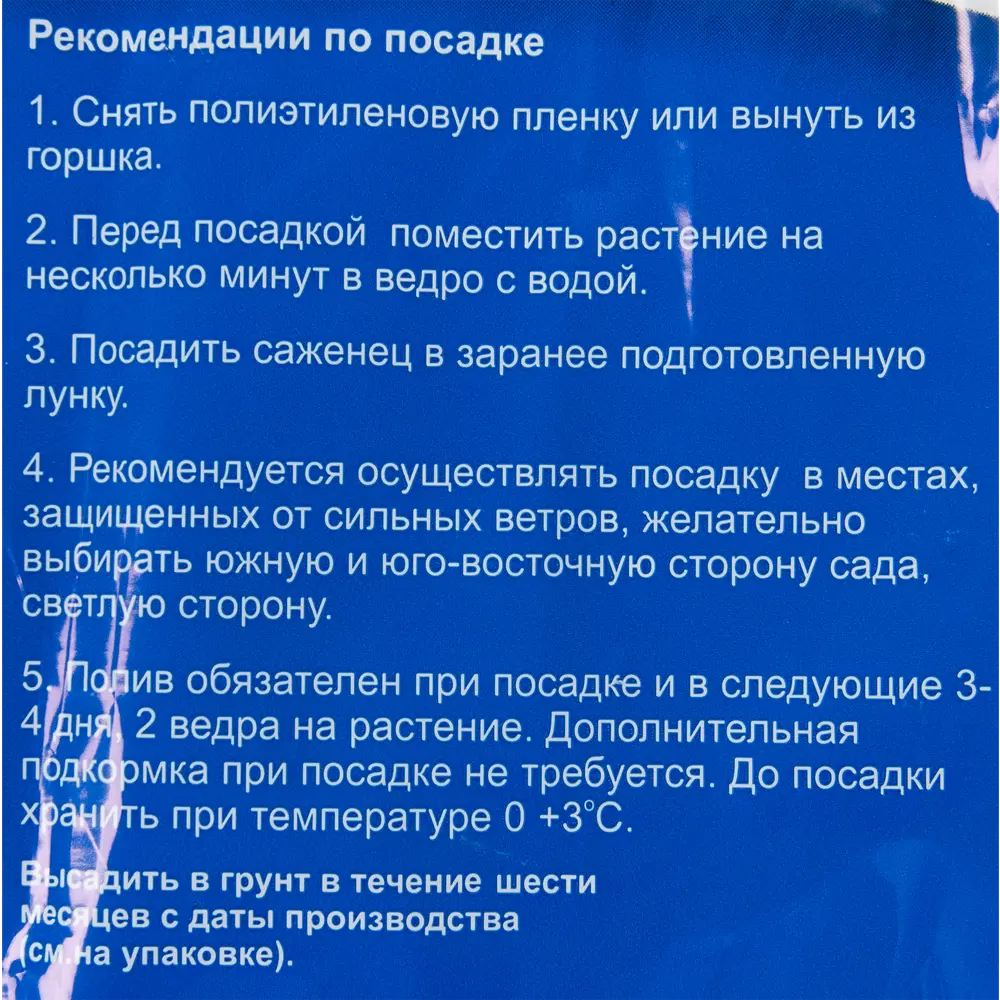 Барбарис оттавский Суперба в пакете БогородскСельхозКомплекс 82153592 STLM-2000278 Santreyd  - Вид №2