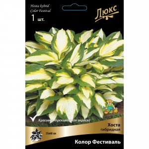 83598051 Хоста гибридная Колор Фестиваль луковица I