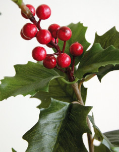 1695 883 a2 Искусственная веточка падуба, 71 см, зеленая H-andreas