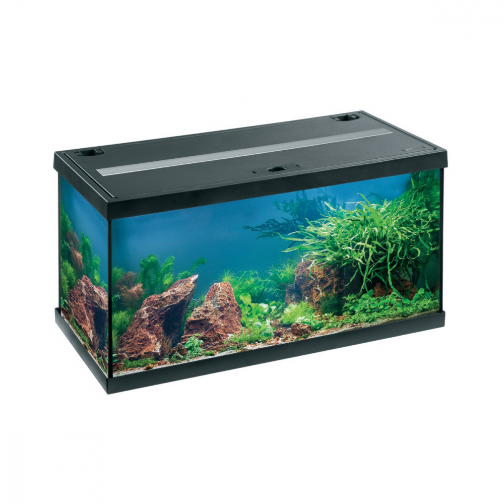 ПР0043432 Аквариум AQUASTAR-54 LED 54л черный EHEIM 