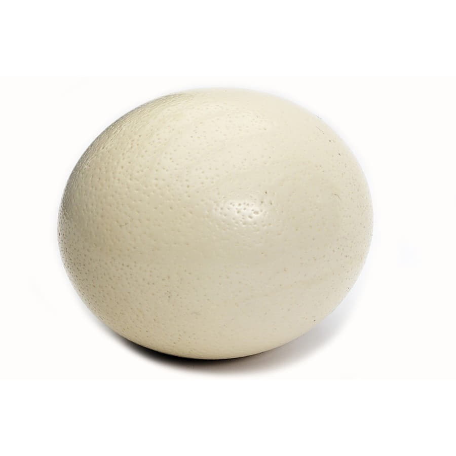 Яйцо страуса Santreyd 18927