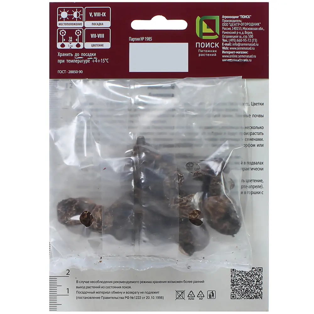 Анемона корончатая ПОИСК - изящный цветок для сада 82000158 STLM-0959253 - Вид №1