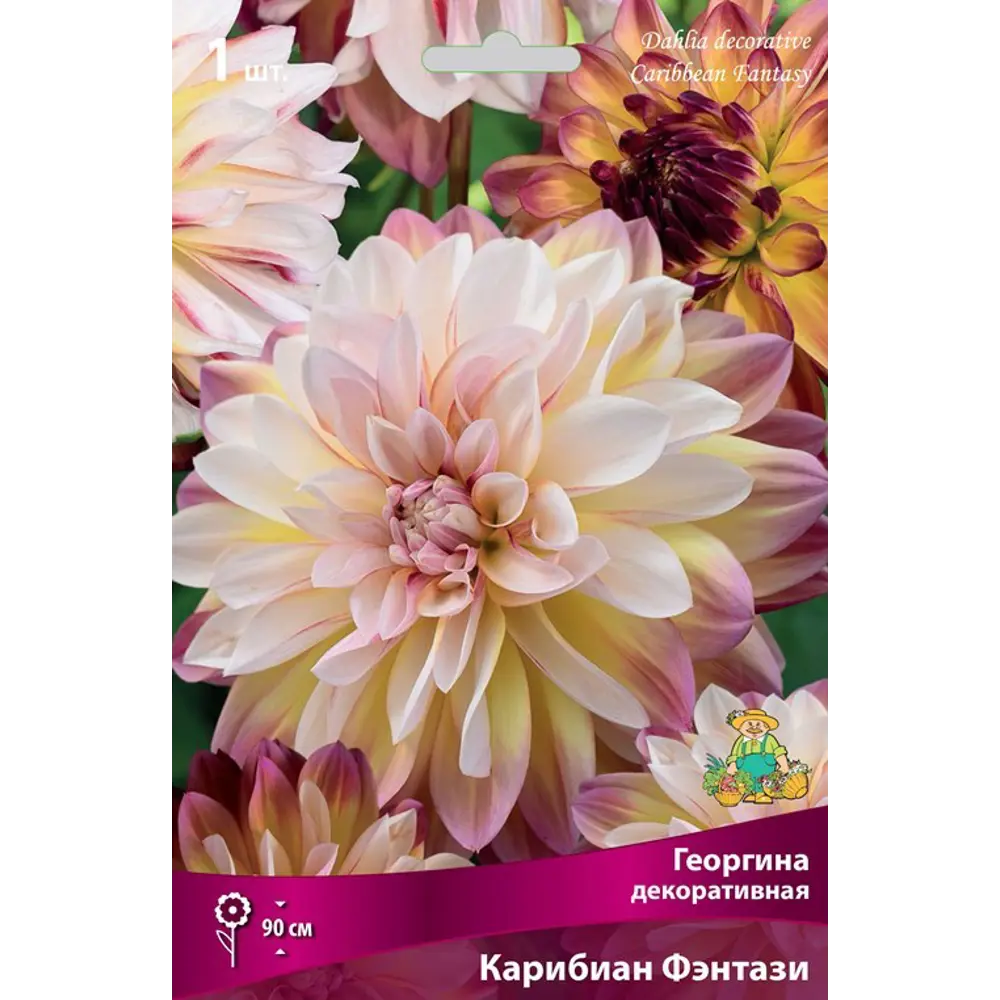 Георгина декоративная Карибиан Фэнтази луковица I 83593783 STLM-2193048 Santreyd 