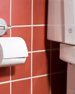 Держатель для туалетной бумаги G2 Gustavsberg GB41103847 00