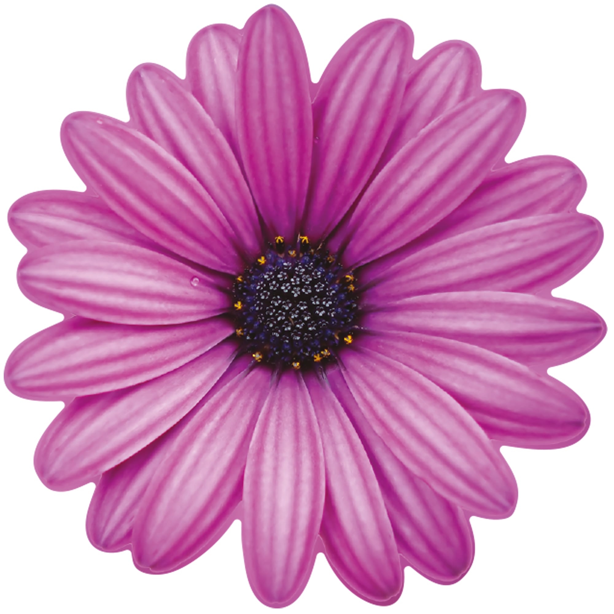 82550377 Наклейка «Разноцветные цветы» 17х23 см Santreyd  - Вид №1