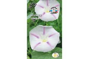18410437 Семена Ипомея Шива 00000014974 СеДек
