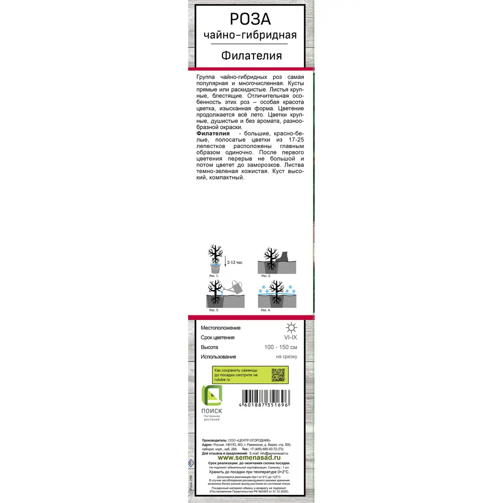 Роза чайно-гибридная Филателия h37 см 83786573 STLM-2006239 Santreyd  - Вид №2