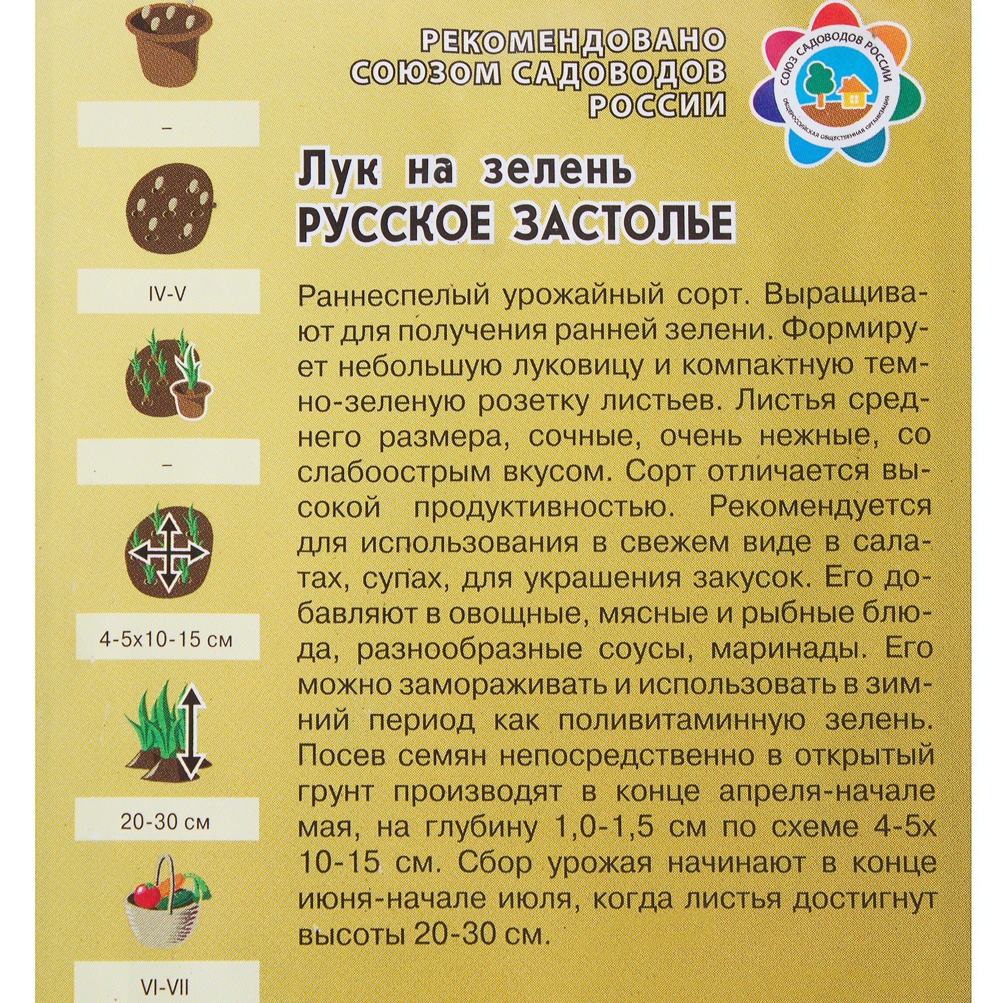 81933325 Семена Лук на зелень «Расское застолье» 1 г Santreyd  - Вид №2