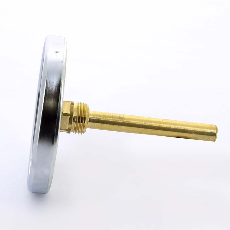 Термометр биметаллический F+R801 100мм с погружной гильзой WATTS Ind 160 град.C гильза 100мм 10006079 - Вид №1