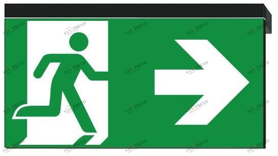 DAISALUX Светодиодный аварийный свет для вывесок для домашних животных Ikus sun-id-1377872