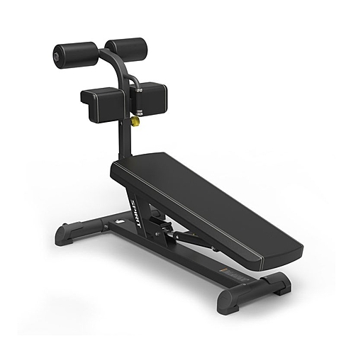 SP-4218 Spirit fitness sp-4218 регулируемая скамья для пресса Spirit Fitness 