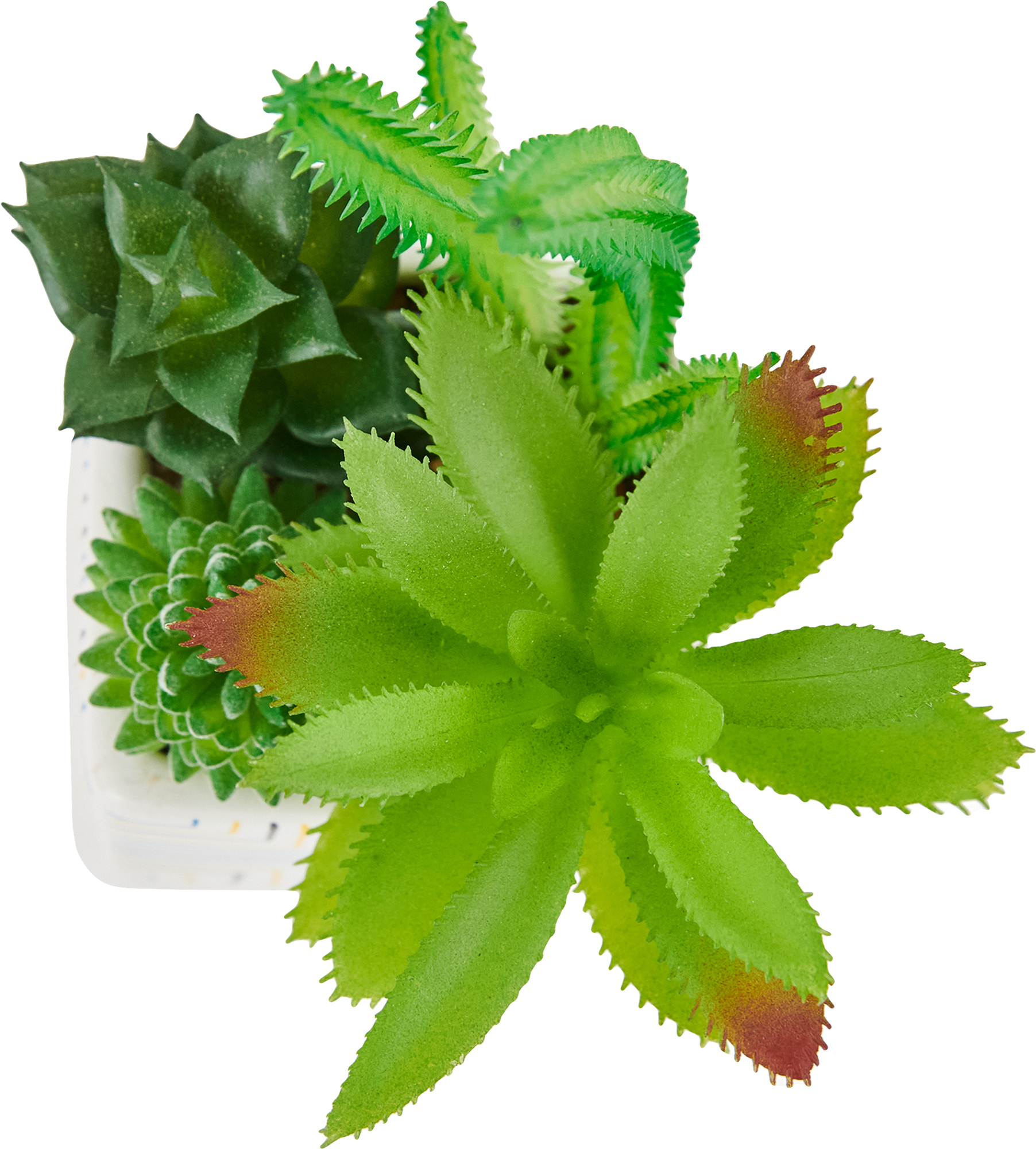 85826018 Искусственное растение Суккулент h18 см STLM-0065540 Santreyd  - Вид №1