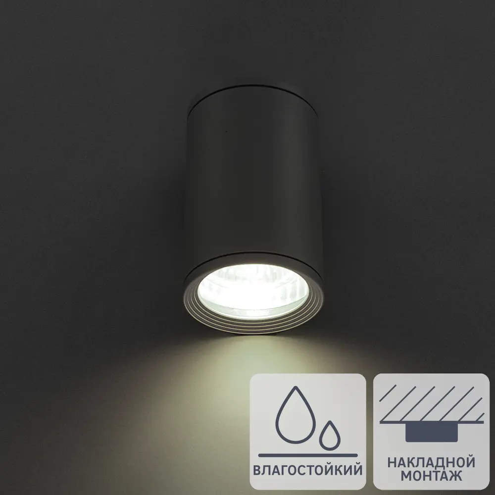 Светильник накладной Light 2101 IP65 1ХGU10Х10W, цвет сер Elektrostandard STLM-2155505