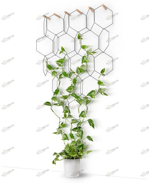 Compagnie Вертикальная зеленая решетка из металла sun-id-1464081