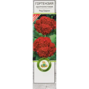 Гортензия крупнолистовая Ред Барон 82527945 STLM-2099756