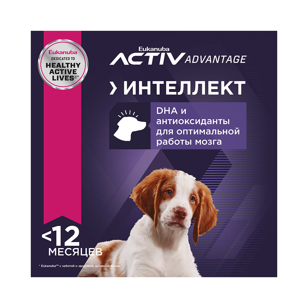 Т00001243 Корм для щенков для средних пород сух. 15кг Eukanuba  - Вид №4
