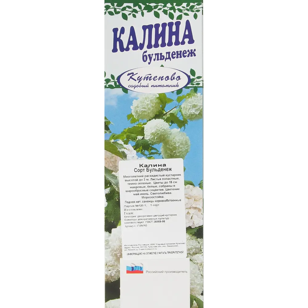 Калина Буль Де Неж в коробке 17496903 STLM-2060956 Santreyd  - Вид №2