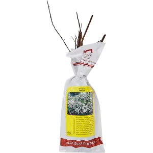 Спирея аргута h40 см 83786842 STLM-2087234