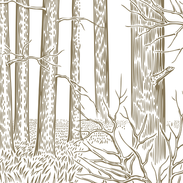 Стеновые панели - Вальдиссимо